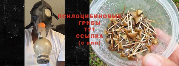 ALPHA PVP Арсеньев